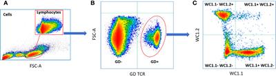 Preferential differential gene expression within the WC1.1+ γδ T cell compartment in cattle naturally infected with Mycobacterium bovis